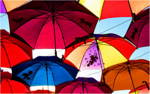 Harry Cheadle – Colourful Canopy