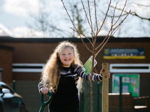 Supporting image for story: Lara branches out with tree project after ditching 'boring' geography lessons