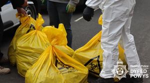 Bags of plants being taken from the Newtown property.
