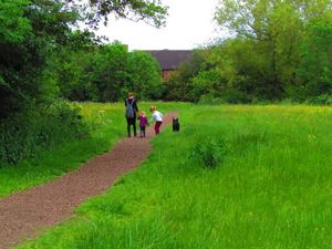 Rea Brook Valley local nature reserve. Photo: Shrewsbury Town Council