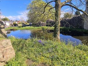 Supporting image for story: Help needed to tidy up castle grounds