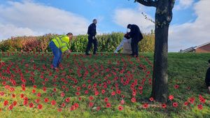 The residents of Queen's Cross worked with the councillors to plant the poppies. Photo: Amblecote news from Paul, Pete and Kamran