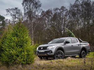 Supporting image for story: Drivers face fines or points for incorrectly loading their Christmas trees