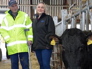 Supporting image for story: Farmer will be 'over the moon' if his charity herd sells for £100,000