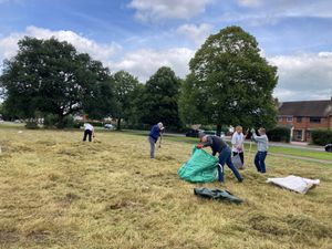 Supporting image for story: Group works to help boost biodiversity of area