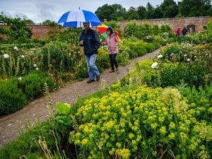 Supporting image for story: National Trust reopening houses to visitors