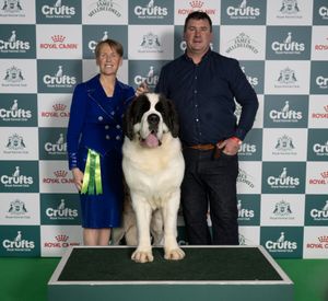 Sinead Taggart and Keith Sheehan from Ireland with Chanel, a St. Bernard which was the Best of Breed winner today (05.03.26), the first day of Crufts 2026.


