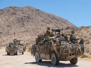 Supporting image for story: Express & Star comment: Action not words over defence