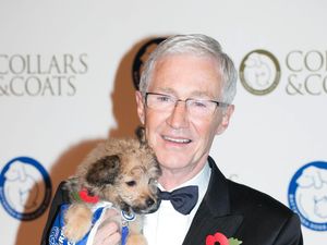 Supporting image for story: Paul O’Grady makes posthumous appearance in film to mark Eurovision opening