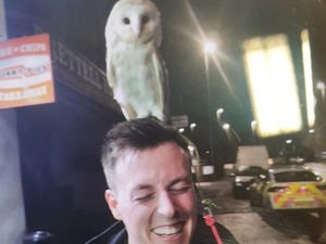 Supporting image for story: Suspicious Black Country behaviour turns out to be men ‘walking’ pet owl