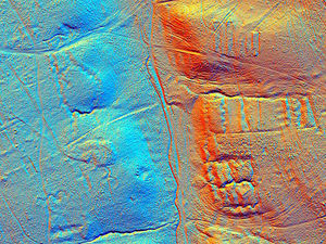 Supporting image for story: Here's Cannock Chase as you've never seen it before