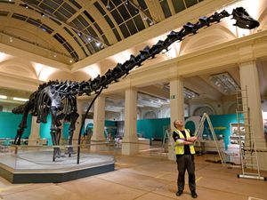 Supporting image for story: Dippy on tour: Huge 70ft-long dinosaur exhibit arrives in Birmingham 