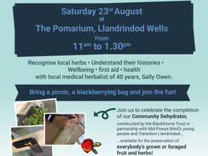 Supporting image for story: Learn more about herbs, their histories and how they can help in wellbeing at a Llandrindod Wells event