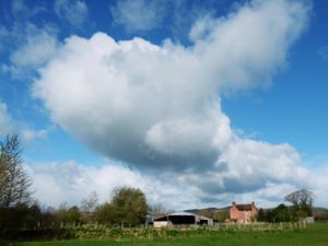 Supporting image for story: 'I'm not on medication, but I've seen a turtle in the sky!' High winds draw odd clouds in county sky