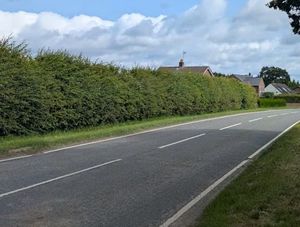 Nearby access in Sodylt Bank. Picture: Shropshire Council
