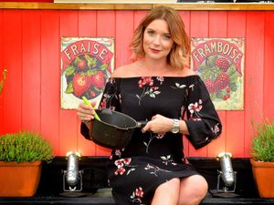 Supporting image for story: Excitement builds as Newport Show reveals more entertainment