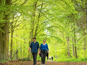 Exploring Comer Woods at Dudmaston, which are tucked away on the road between Bridgnorth and Kidderminster and are linked to the nearby Dudmaston estate which is run by the National Trust. The woods offer extensive woodland walks, with regular events.