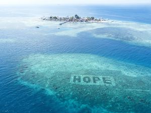 Supporting image for story: Still time to save coral reefs, says British Paralympian swimmer