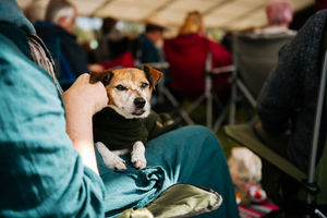 Shrewsbury Folk Festival 2023.