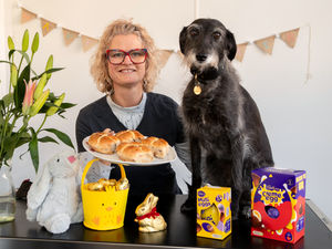 Supporting image for story: Don’t let Shropshire pets get their paws on Easter treats, vets warn owners