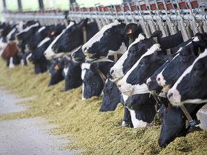 Supporting image for story: New range of milk will aid farmers in Shropshire