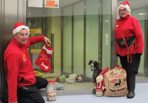 Dave and fellow volunteer Moira Wallace helping make sure all the dogs at Dogs Trust Shrewsbury had the best possible Christmas