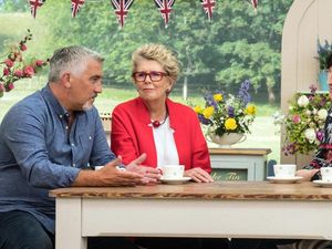 Supporting image for story