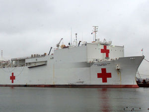 Supporting image for story: Ukip plans to build 'Floatingale' hospital ship with foreign aid cash