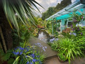 Supporting image for story: Colourful gardens reopening as part of the National Garden Scheme