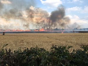 Supporting image for story: Arson attack sparks crops fire across land the size of 30 football pitches