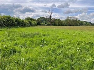 Supporting image for story: Parcels of land in high demand at £1.75 million collective auction