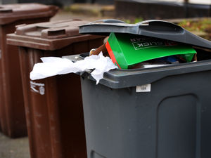 Supporting image for story: Bin collections reminder after disruption due to adverse weather