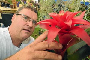 Don Billington from Liverpool of 'Every Picture Tells a Story'.