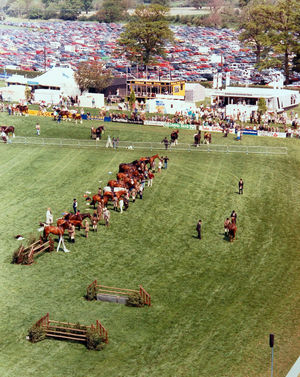 The West Mid Show, Shrewsbury – a central part of the county's agricultural scene.