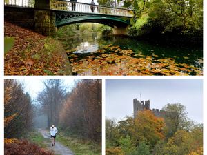 Supporting image for story: 33 stunning autumn scenes across Wolverhampton and the West Midlands from the archives