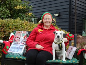 Supporting image for story: Prizes needed for Dogs Trust Shrewsbury Christmas fair