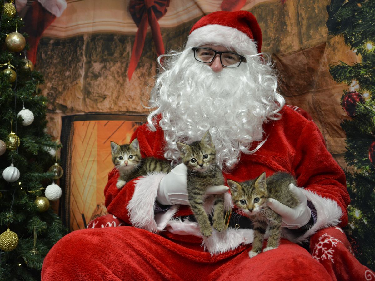 USPCA expands support for pet owners experiencing poverty