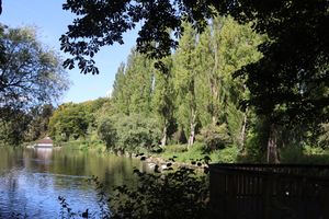 Walsall Arboretum