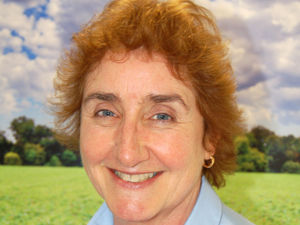 Supporting image for story: Pigs project gets off to flying start 