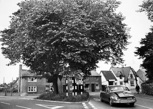 The Three Trees island at Whittington, June 4, 1968. The caption reads: 'Well-known blackspot for motorists travelling the A5 at Whittington is this triangle island. The three trees in the centre of the triangle were planted to commemorate the Battle of Waterloo. An improvement scheme is planned, but negotiations have to be completed, and the Ministry of Transport will be approached. The island was recently described in a court as 'that internal (sic - possibly a misprint for infernal) triangle at Whittington.'