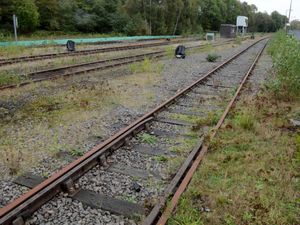 Supporting image for story: Shropshire's MPs call on minister to fund Ironbridge railway line