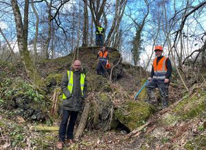 Supporting image for story