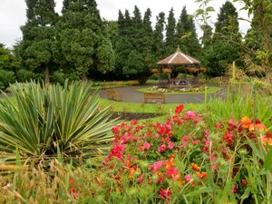 Supporting image for story: Bridgnorth library launching walk this weekend to show off town's green spaces