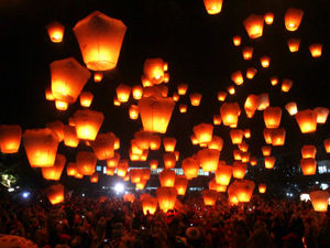 Supporting image for story: Sky lanterns could kill animals, warns Powys health boss