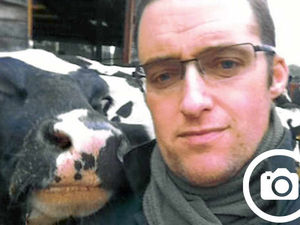 Supporting image for story: 'Felfies' fad catches on with Shropshire farmers