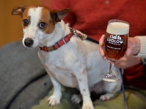 Supporting image for story: IN PICTURES: Beer o'clock at Ludlow Brewing Company as festival continues