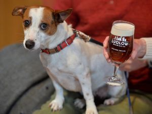 Supporting image for story: IN PICTURES: Beer o'clock at Ludlow Brewing Company as festival continues