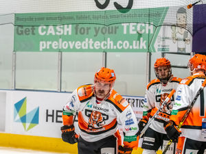 Supporting image for story: Seventh heaven as Telford Tigers win