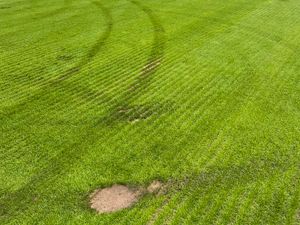 Supporting image for story: Vandals damage AFC Telford United pitch with tractor