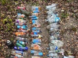 Supporting image for story: More than 1,000 pieces of rubbish collected in litter pick at beauty spot